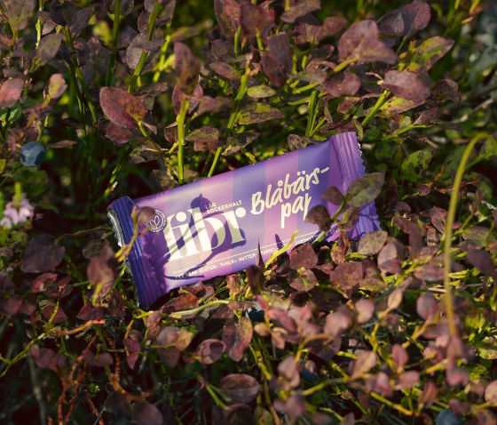 Sälja bars