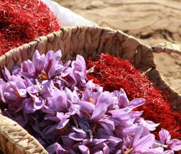 Tjäna pengar genom att sälja saffran