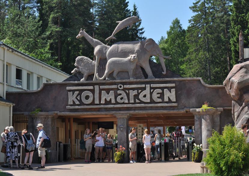 Entre till kolmården