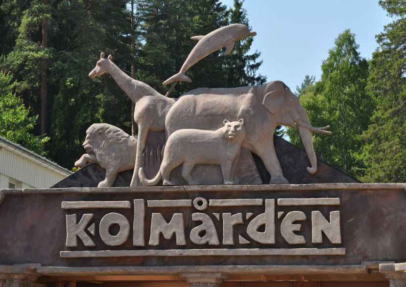 Klassresa till Kolmården