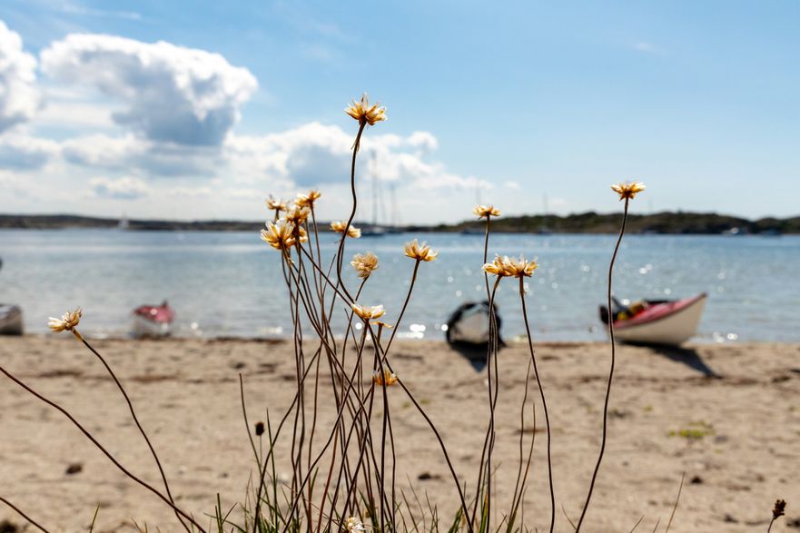 Strand på västkusten