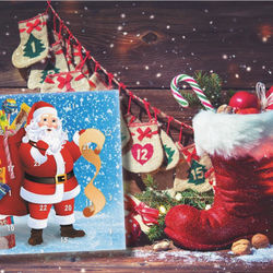 Julgodis