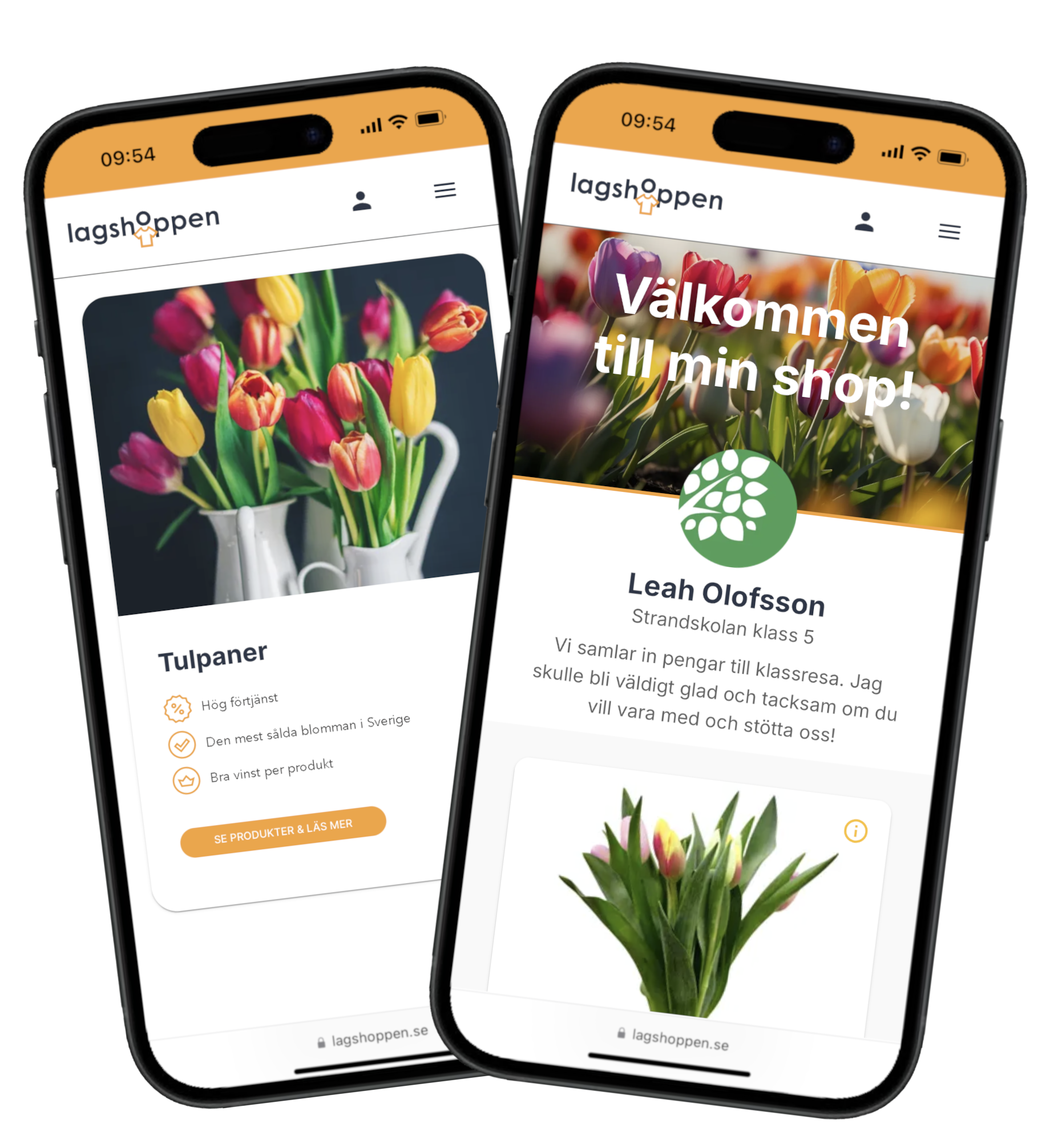 Sälja tulpaner med klassen, laget eller föreningen